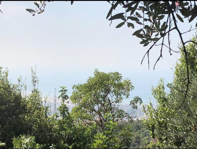 أرض بإطلالة على الجبل للبيع في عين سعاده، المتن