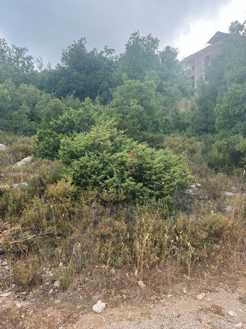 Land with a mountain view for sale in Bikfaya, Metn - photo 2