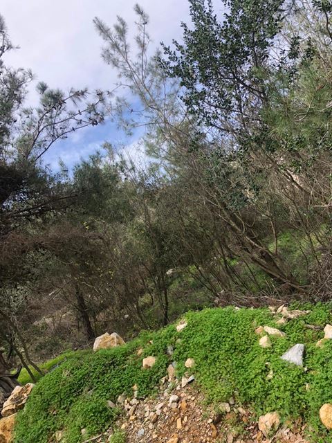 أرض بإطلالة على البحر للبيع في روميه، المتن - صورة 2